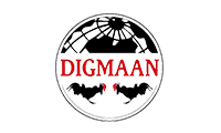 Digmaan